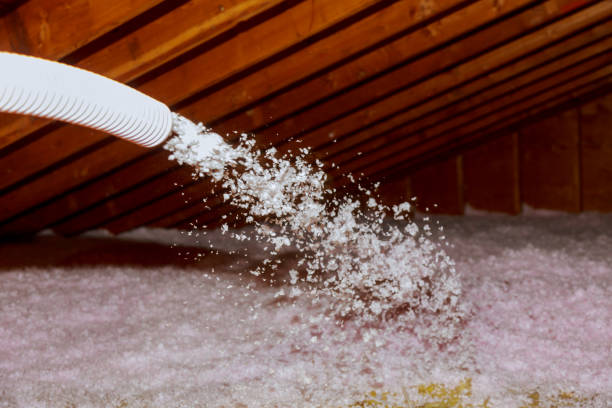 Best Insulation Repair Services  in Troy, NC