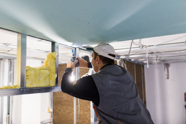 Best Insulation Replacement Services  in Troy, NC