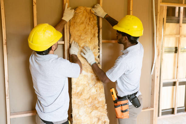 Best Best Insulation Companies  in Troy, NC