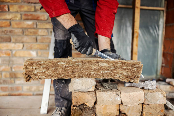 Best Insulation Removal  in Troy, NC