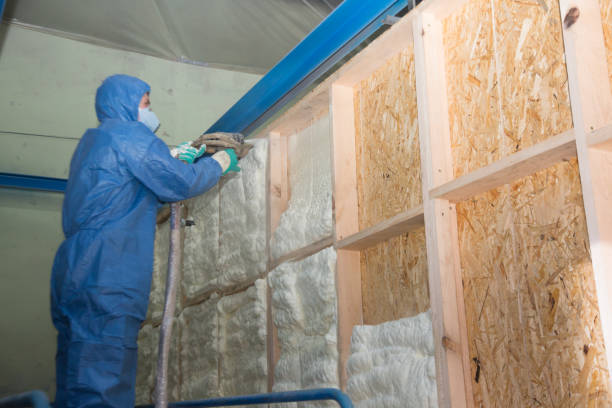 Best Home Insulation Services  in Troy, NC
